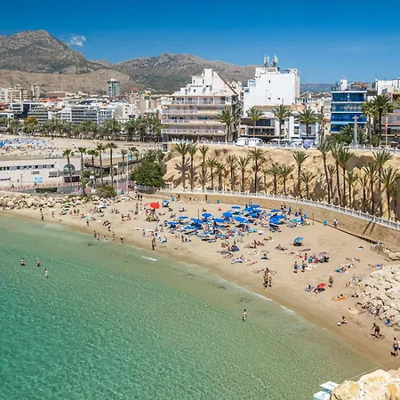 Appartamento Penthouse Ancla 561 Levante