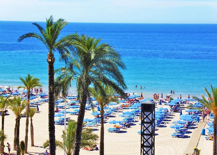 Penthouse Ancla 561 Levante * بينايدورم
